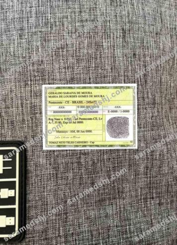 Brazil identity card photolook BACK